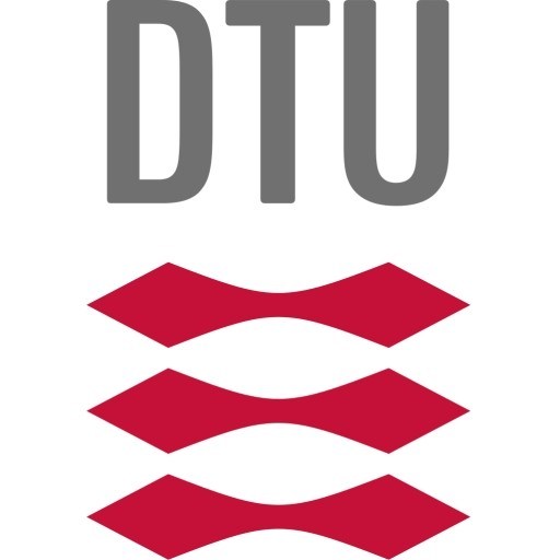 Технический университет Дании logo